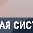 Андрей Лошак о новом сериале Пентагон самых бедных россиянах войне страхе и будущем страны