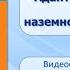 Тема 11 Наземно воздушная среда жизни Адаптации организмов к жизни в наземно воздушной среде