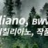 J S Bach Siciliano BWV 1031 L 바흐 시칠리아노 BWV 1031 L Classic Piano ㅣ힐링 공부 집중 음악ㅣ잔잔한 클래식 피아노 BGM