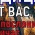 Хотя бы 1 раз БОГОРОДИЦЕ скажи эти слова Ты удивишься ЧУДЕСАМ которые начнут происходить