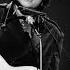 Bob Dylan Desolation Row Los Angeles 1965 Second Ever Live Performance