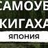 Лес самоубийц в Японии Аокигахара Гора Фудзи или вулкан Фудзияма Путешествие в Японию