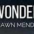 Shawn Mendes Wonder Lyrics