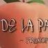 Fruit De La Passion S IN S IN Remix