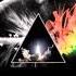 The Royal Philharmonic Orchestra The Symphonic Pink Floyd