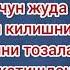 МУЖИЗА 22 РАСТОРОПША ХАКИДА МАЪЛУМОТ янгиарик урганч доридармон хакида