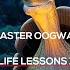 Meet Destiny And Mind Like Water Master Oogway Life Lessons 1