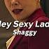 Hey Sexy Lady Shaggy Edit Audio