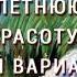 Настрои Г Сытина На долголетнюю женскую красоту 2 й вариант