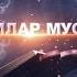 XXVII Қорилар мусобақаси видеолавҳа