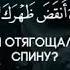 Сура 94 Раскрытие аяты 1 8 Чтец Бадр аль Иззи х