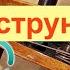 Устанавливаем Струны на Скрипке за Минуту