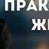 Духовная и практическая жизнь Бальжик Вениамин Беседа для молодёжи МСЦ ЕХБ