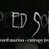 Awkward Marina Entropy Sim Gretina Remix Speed Up Song