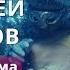 ШЕДЕВРЫ МИРОВОГО КИНО И МУЗЫКИ АНДРЕЙ ПЕТРОВ ИЗ ФИЛЬМА ЧЕЛОВЕК АМФИБИЯ