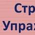 Starlight Звездный английский 2 сборник грамматических упражнений стр 6 номер 9 ГДЗ решебник