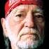 Willie Nelson The Scientist